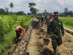 BSMSS Kodim Kuningan, Wujudkan Impian Masyarakat dalam Meningkatkan Swasembada Pangan