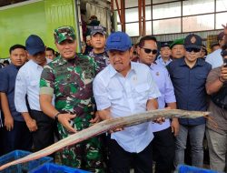 Menteri KKP Pastikan Stok Ikan Selama Nataru 2025 Aman