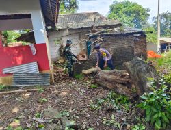 Pohon Tumbang Timpa Warung dan Dapur Warga Cikeleng