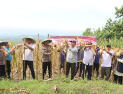 Sinergitas Polres Kuningan dalam Mendukung Program Ketahanan Pangan