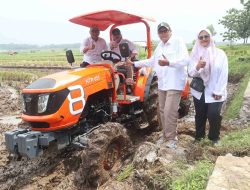 Inovasi Pertanian Kuningan : Teknologi Semai Culik Jadi Kunci Percepatan Tanam
