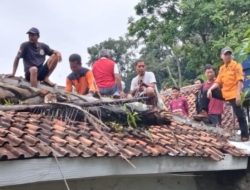 Pohon Aren Tumbang Timpa Bangunan Sekolah