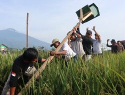 Rubuha Solusi Konkrit Hadapi Musim Tanam
