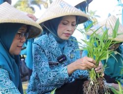 Pemanfaatan Pekarangan, TP PKK Kuningan Tunjukkan Contoh Nyata Kemandirian Pangan