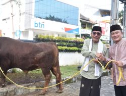 Bupati Kuningan Serahkan Sapi Kurban Presiden Prabowo, Serta Paparkan Capaian 100 Hari Kerja