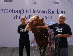 Karyawan BRI Kurban 961 Hewan di Idul Adha 1446 H, Wujud Kepedulian dan Semangat Berbagi
