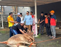 Dave Laksono Salurkan 20 Sapi dan 45 Kambing Pada Idul Adha 1446 H