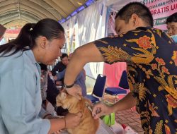Vaksin Rabies Gratis untuk Kucing Warnai Indramayu Festival & Reptil Contest