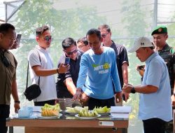 Lapas Kelas IIA Kuningan Panen Perdana 1.000 Melon Premium, Wujud Nyata Dukung Ketahanan Pangan