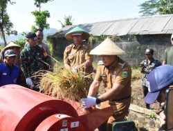 Bupati Kuningan Hadiri Panen Raya Padi di Maleber, Apresiasi Semangat Petani Jaga Ketahanan Pangan