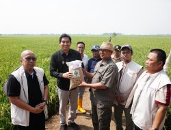 Kurangi Ketergantungan pada Pupuk Kimia, Bupati Lucky Hakim Imbau Petani Gunakan Pupuk Organik