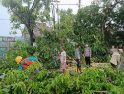 Babinsa, Polsek, dan Warga Bersatu Bersihkan Pohon Tumbang di Ciwaru
