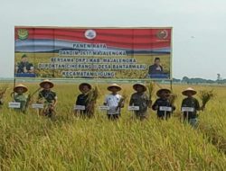 Harga Pupuk Subsidi Turun Hingga 20 Persen, Diharapkan Dapat Bantu Produktifitas Para Petani