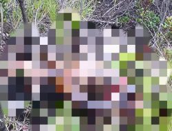 Tim Patroli TNGC Temukan Mayat di Puncak Linggajati: Misteri Identitas dan Penyebab Kematian