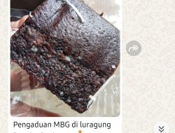 Brownies Berjamur dalam Program Makan Bergizi Gratis: Ketua Satgas Kuningan Geram, Minta Evaluasi Total