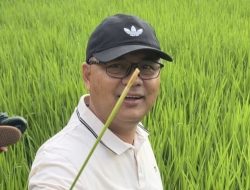 Usai Jadi Pj Sekda, Dr. Wahyu Langsung Turun ke Sawah Kendalikan Hama PBP