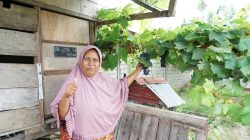 Reforma Agraria di Desa Duyu: Anggur Harapan yang Tumbuh Pasca Gempa