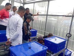 Dari Balik Jeruji, Warga Binaan Lapas Kuningan Ikut Sukseskan Ketahanan Pangan Lewat Budidaya Melon