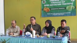 Kuningan Genjot Kualitas Mangga Lewat Bimtek GAP, Targetkan Daya Saing Tinggi