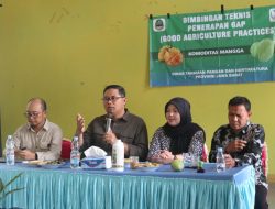 Kuningan Genjot Kualitas Mangga Lewat Bimtek GAP, Targetkan Daya Saing Tinggi