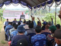 Terobosan Pertanian Kuningan: Petani Binaan Diskatan Panen 12 Ton Padi Per Hektare dengan Metode Organik!