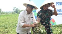 Sinergi Lintas Sektor di Kuningan: Panen Ubi Jalar dan JATAM Dorong Ketahanan Pangan Menuju Visi MELESAT