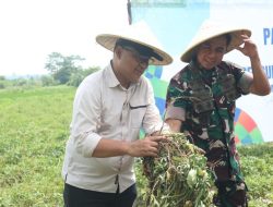 Sinergi Lintas Sektor di Kuningan: Panen Ubi Jalar dan JATAM Dorong Ketahanan Pangan Menuju Visi MELESAT