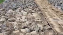 Desa Darma Genjot Pembangunan Jalan, Siapkan Terminal Baru dan Kawasan Ekonomi