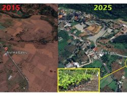 Dari Ladang Terbuka ke Kawasan Hijau: Transformasi Ekologis Arunika Terbukti di Citra Satelit