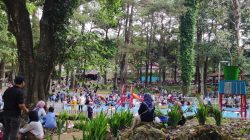 Wahana Baru Bikin Makin Seru! Woodland Kuningan Padat Pengunjung di Libur Sekolah dan Nataru