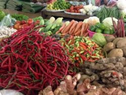 Nataru 2025: Ketahanan Pangan Kuningan Aman, Produksi Sayuran Meningkat Meskipun Bawang Menurun