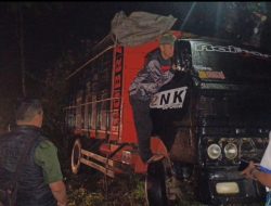 Dugaan Pencurian Kayu Sonokeling di TNGC Kuningan: Satu Pelaku Diamankan, Truk dan 16 Potongan Kayu Jadi Bukti