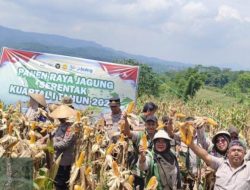 Majalengka Peringkat Tiga se-Jawa Barat dalam Serapan Jagung tahun 2025