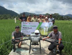 Drone Hadir Bantu Petani! Diskatan Kuningan Gelar Gerdal OPT Padi di Lima Lokasi Secara Pararel