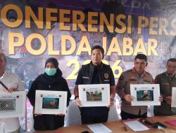 Cara Polisi Mengendus Penampungan Elang Ilegal