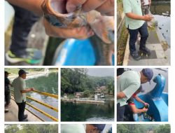 Duka di Balong Girang, Ratusan Ikan Dewa Mati Secara Misterius, Bupati : “Ini Kebanggaan Masyarakat Kuningan”