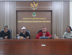 Kuningan Percepat LTT Padi Jelang Akhir Maret, Data Akurat Jadi Kunci Kebijakan Ketahanan Pangan