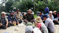 Duduk Lesehan Bersama Petani, Kadis Pertanian Beri Solusi Atasi Hama Wereng