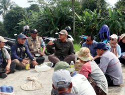 Duduk Lesehan Bersama Petani, Kadis Pertanian Beri Solusi Atasi Hama Wereng