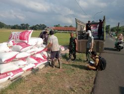 Pastikan Harga Terjaga, Babinsa Dampingi Penyerapan Gabah 3,3 Ton di Mekarjaya