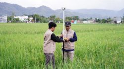 Layanan Baru ATR/BPN: Pengukuran Tanah Sesuai Waktu Pilihan Pemohon