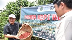 Lolos Kurasi, Kopi Kuningan Kembali Bersaing di Ajang Bergengsi Dunia