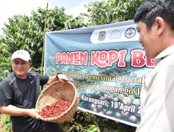 Lolos Kurasi, Kopi Kuningan Kembali Bersaing di Ajang Bergengsi Dunia