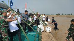 Penanaman Padi Modern PM-AAS di Indramayu Ditargetkan Capai 10 Ton per Hektare