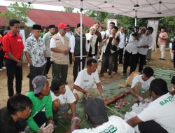 Kurban Produktif: BAZNAS RI Kembangkan Ekosistem Peternakan, Kuningan Jadi Percontohan Nasional