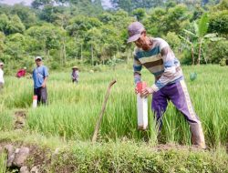 GEMAPATAS: Gerakan Pasang Patok Batas Agar Tanah Aman, Tidak Dicaplok, dan Bebas Sengketa
