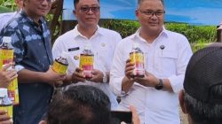 Tak Hanya Kimia, Pengendalian Hama Padi Andalkan Musuh Alami dan Mekanis