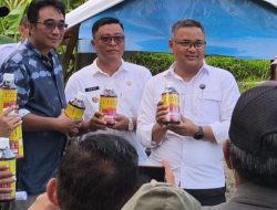 Tak Hanya Kimia, Pengendalian Hama Padi Andalkan Musuh Alami dan Mekanis