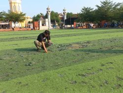 Bupati Majalengka Prihatin Kondisi Rumput Sintetis Alun-Alun, Instruksikan Segera Diperbaiki