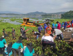 Gerakan Garpu Sendok! Ratusan Orang Bergotong Royong Bersihkan Eceng Gondok Di Waduk Darma